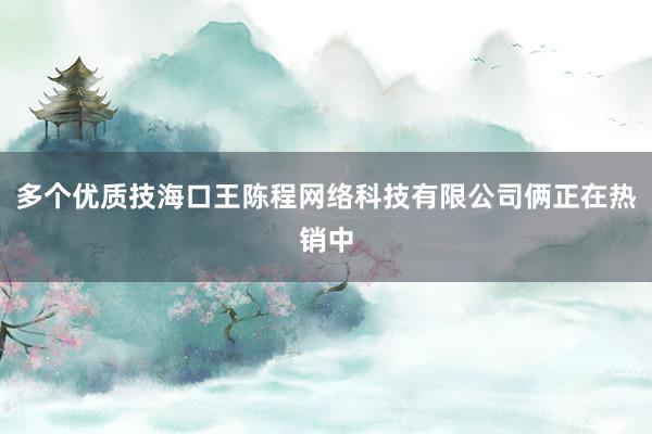 多个优质技海口王陈程网络科技有限公司俩正在热销中
