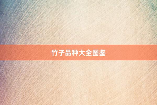 竹子品种大全图鉴