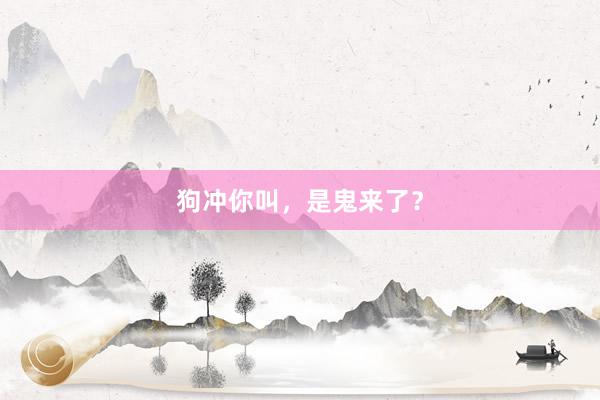 狗冲你叫，是鬼来了？